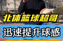 开云体育-威尔士不敌对手，需迅速调整状态
