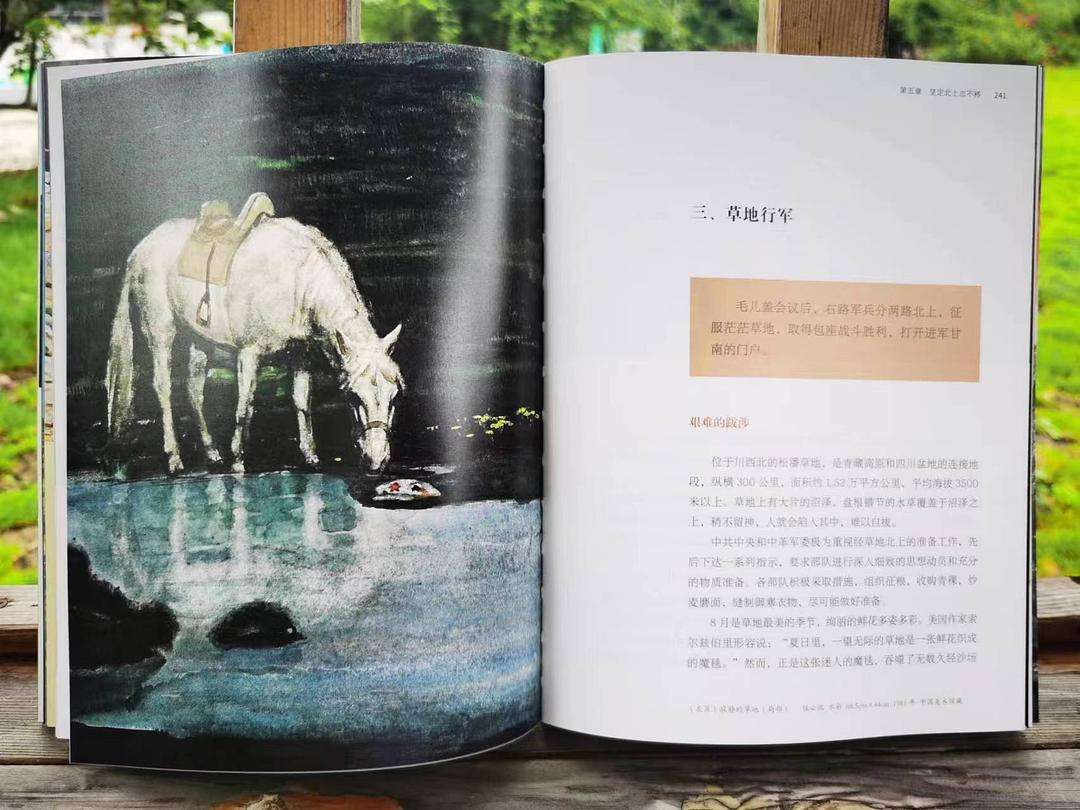 球场上的英雄们：草皮上的传奇故事