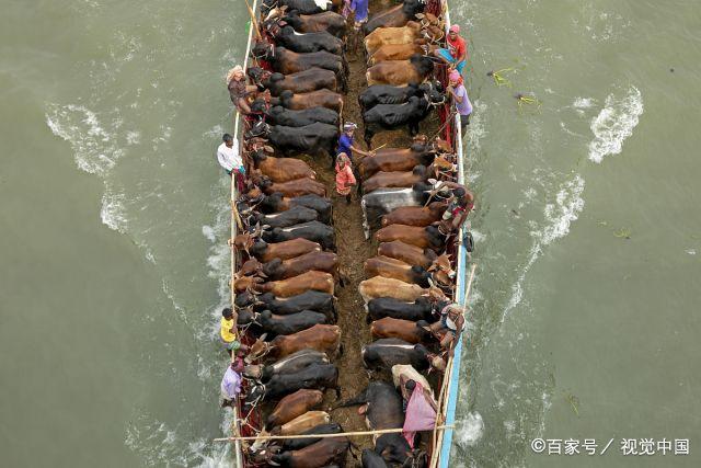 孟加拉主河国家赛,放健康威力的简单介绍 孟加拉主河国家赛,放健康威力的简单介绍