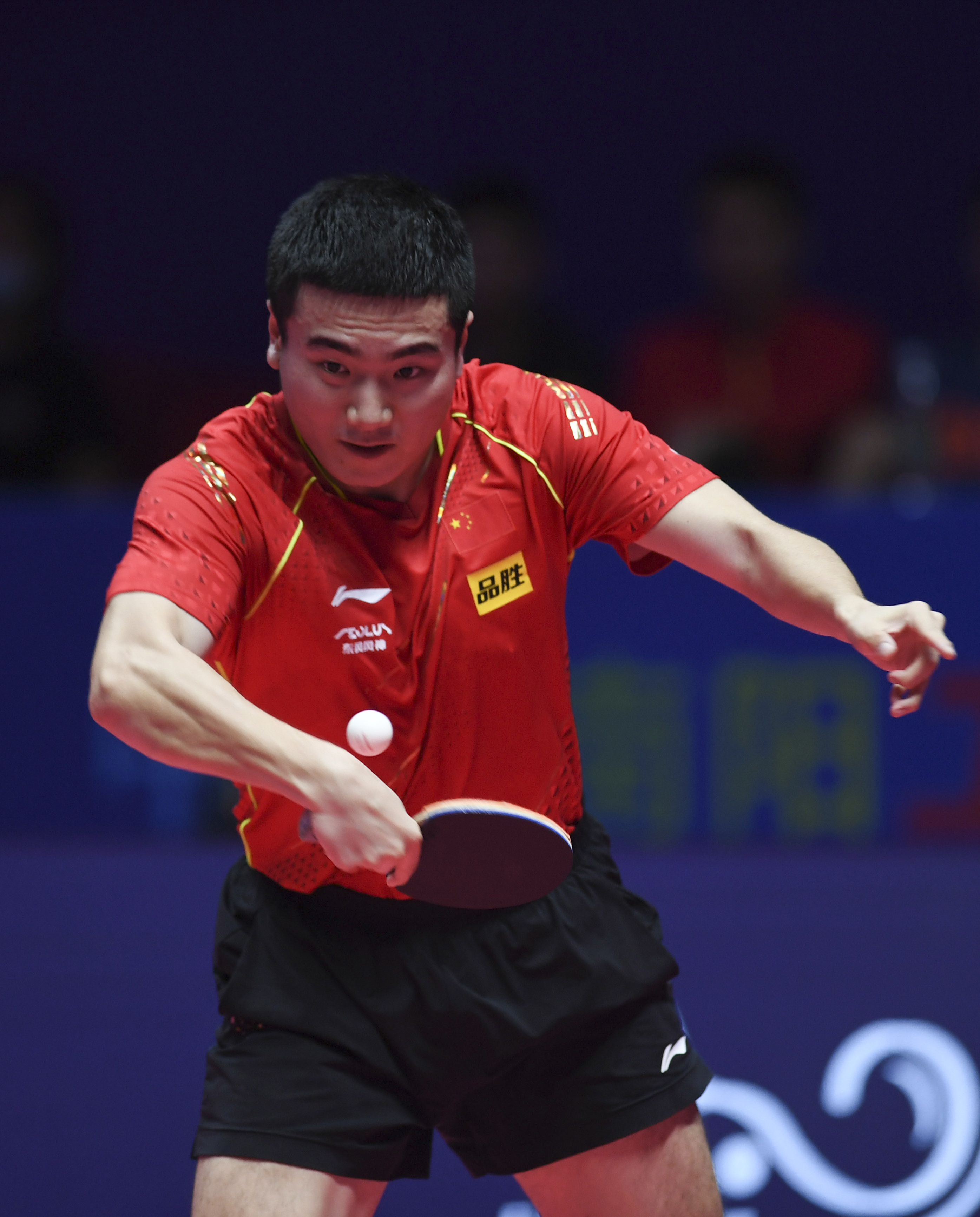 包含比利时乒乓球队鏖战波兰乒乓球队，许昕惊艳世界的词条