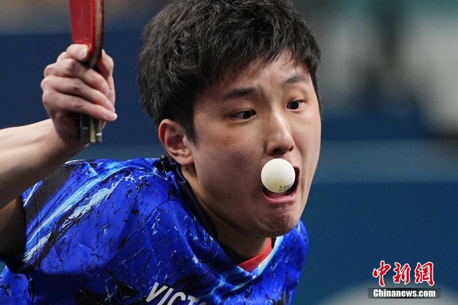 关于比利时乒乓球队逆转韩国乒乓球队,张本智和关键制胜的信息 关于比利时乒乓球队逆转韩国乒乓球队,张本智和关键制胜的信息